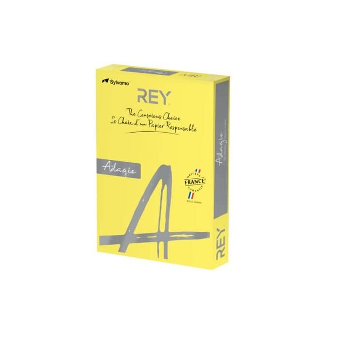 Carta colorata A4 International Paper Rey Adagio 160 g/m² giallo intenso 66  - Risma da 250 fogli - ADAGI160X479 a soli 14.69 € su