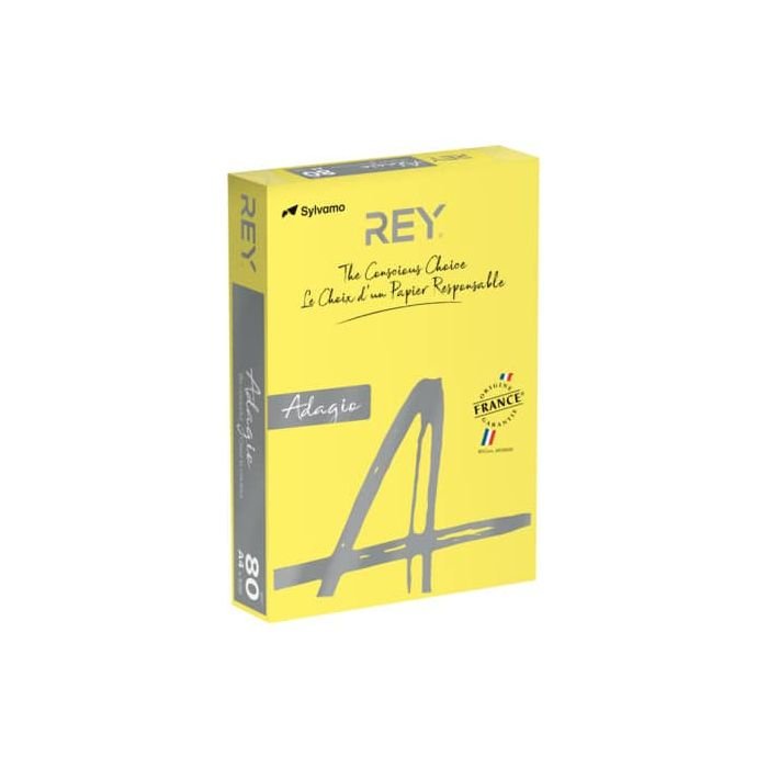 Carta colorata A4 International Paper Rey Adagio 80 g/m² giallo intenso 66  - Risma da 500 fogli - ADAGI080X636 a soli 13.01 € su