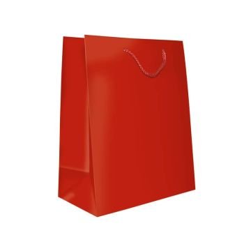 Sacchetti da regalo rosso opaco Biembi misura L - 23,5x32,5x13 cm conf. 6 pezzi - BXS202O20C
