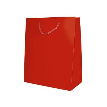 Sacchetti da regalo rosso opaco Biembi misura S - 12x15x5 cm conf. 6 pezzi - BXS202O20A