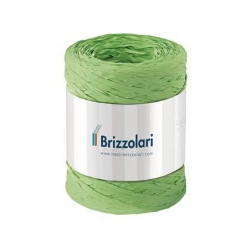 Nastro in rafia sintetica Brizzolari 5 mm x 200 mt verde 6802.10