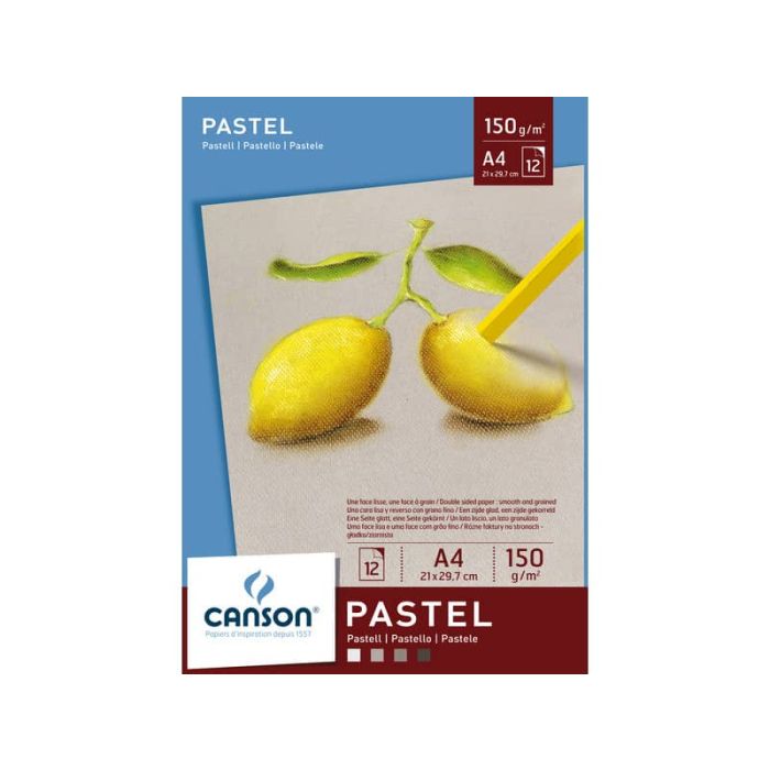 Blocco collato lato corto CANSON Dessin Couleur bianco, nero, grigio chiaro 150 g/m² 12 fogli A4 - C400041762 main product photo