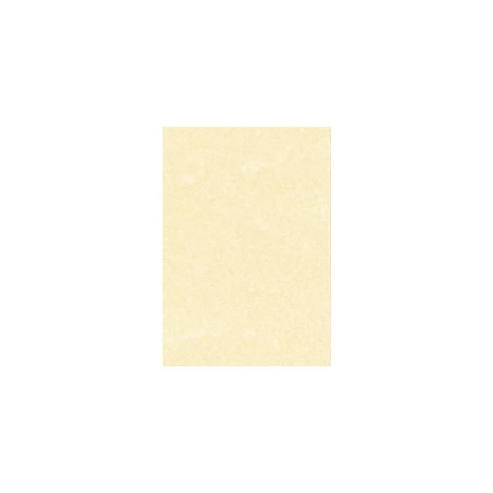 Carta pergamenata Decadry Linea Corporate A4 champagne 95 g/m² Conf. 100 fogli - T105001 main product photo
