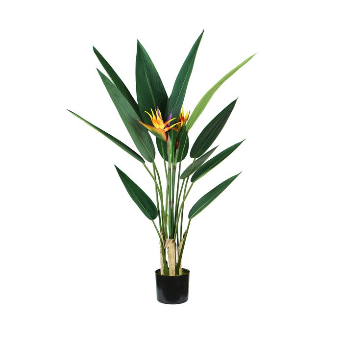 Pianta ornamentale Sterlizia - artificiale - polietilene - 12 foglie e 2 fiori - 120 cm - King Collection main product photo