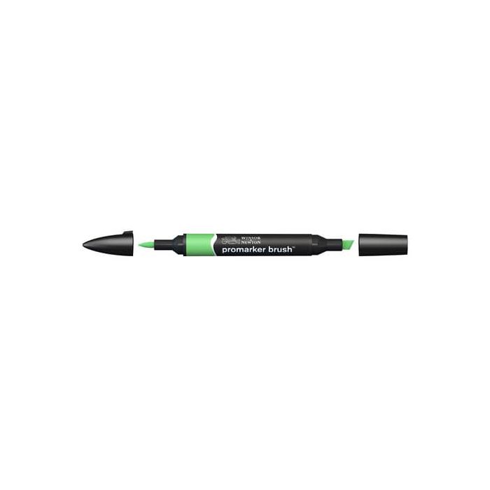Pennarelli doppia punta Winsor&Newton brush grass - 0204253 main product photo
