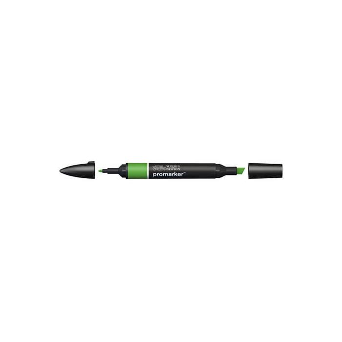 Pennarelli doppia punta Winsor&Newton forest green - 0203068 main product photo