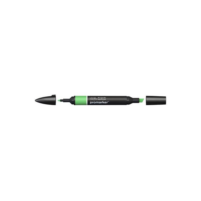 Pennarelli doppia punta Winsor&Newton grass - 0203253 main product photo