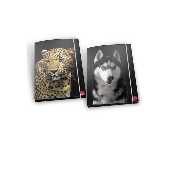 Cartella a 3 lembi con elastico Pigna Animal - A4 30x22x5 cm fantasie assortite - 0232082 main product photo