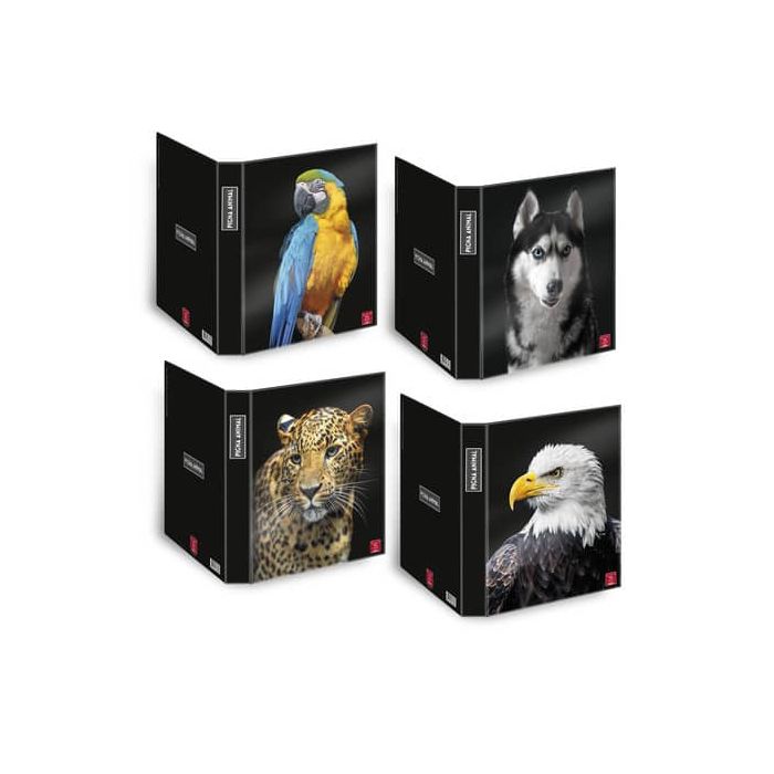Raccoglitore ad anelli Pigna Animal - A4 27 x 32 cm 4 anelli Ø 30 mm dorso 30 mm fantasie assortite - 0232048 main product photo
