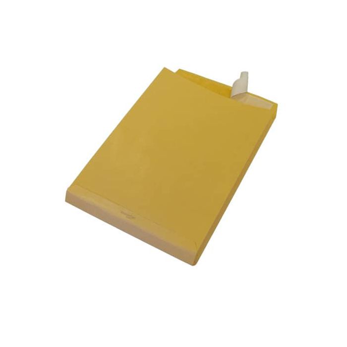 Busta a sacco Blasetti Mondex Avana con 3 soffietti - 120 g/m2 - in conf. 250 buste - 300x400 mm - 843 main product photo