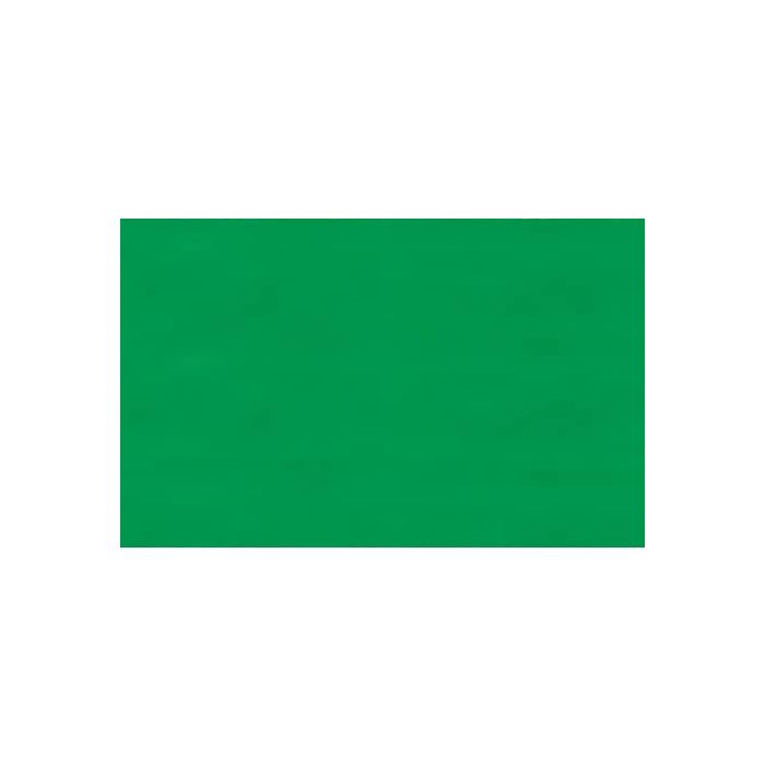 Carta velina Rex-Sadoch 50x70 cm conf. da 26 ff verde prato KV106-472 main product photo