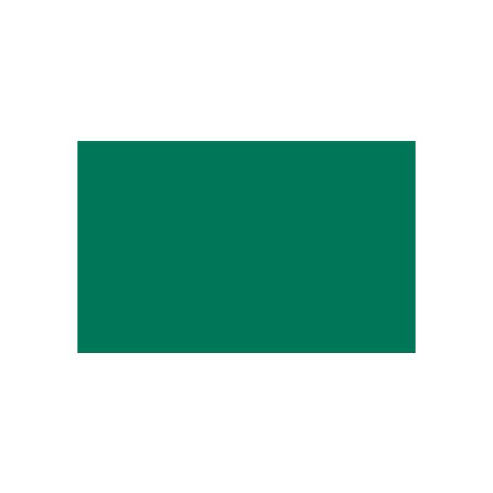 Carta velina Rex-Sadoch 50x70 cm conf. da 26 ff verde scuro KV106-560 main product photo