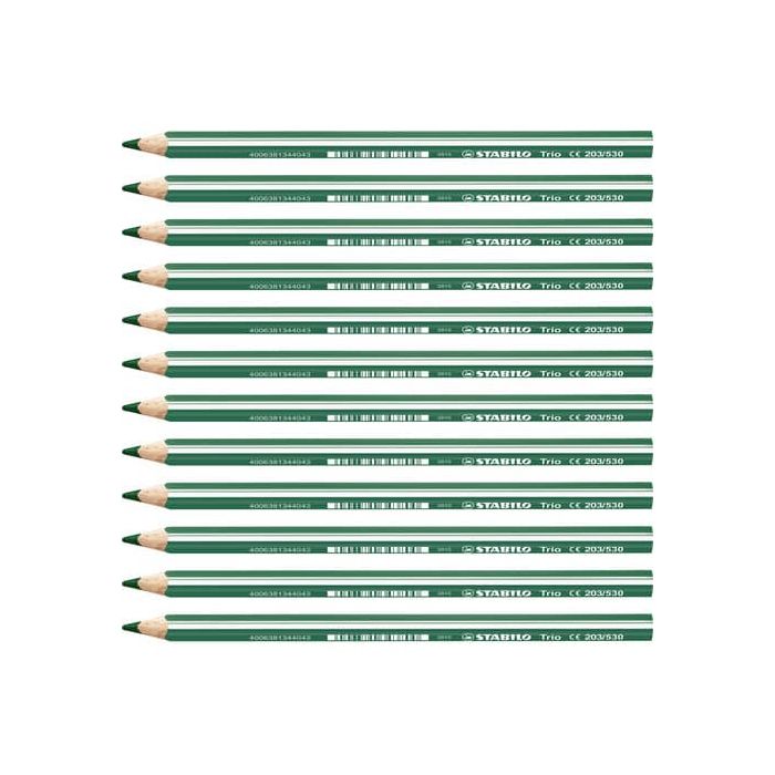 Matite colorate Stabilo Trio Maxi tratto 4,2 mm conf. 12 pz verde 203/530 main product photo