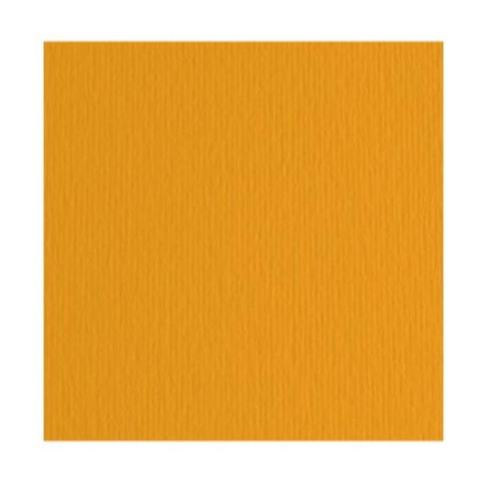Cartoncino colorato Fabriano Elle Erre 70x100 cm 220 g conf. 10 fogli - aragosta - 46470126 main product photo