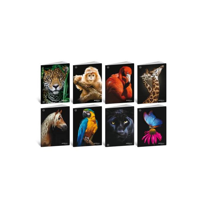 Maxi quaderni Blasetti Animali formato A4 carta 100 g conf. 10 pezzi rigatura B - 8627 main product photo