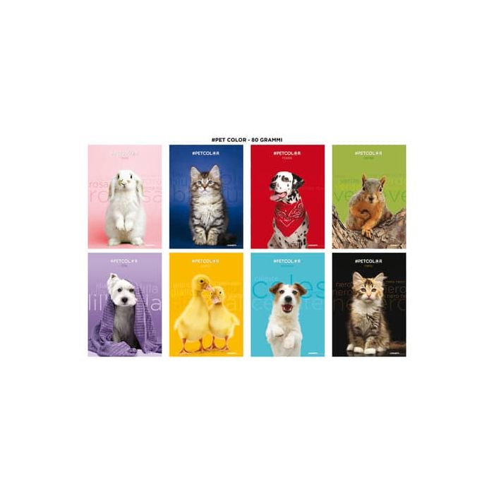 Maxi quaderni Blasetti Cuccioli formato A4 carta 80 g conf. 10 pezzi rigatura 10 mm - 8560 main product photo
