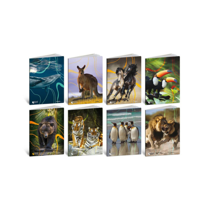 Maxi quaderni Blasetti Animali formato A4 carta 80 g conf. 10 pezzi rigatura 4 mm con margine - 8578 main product photo