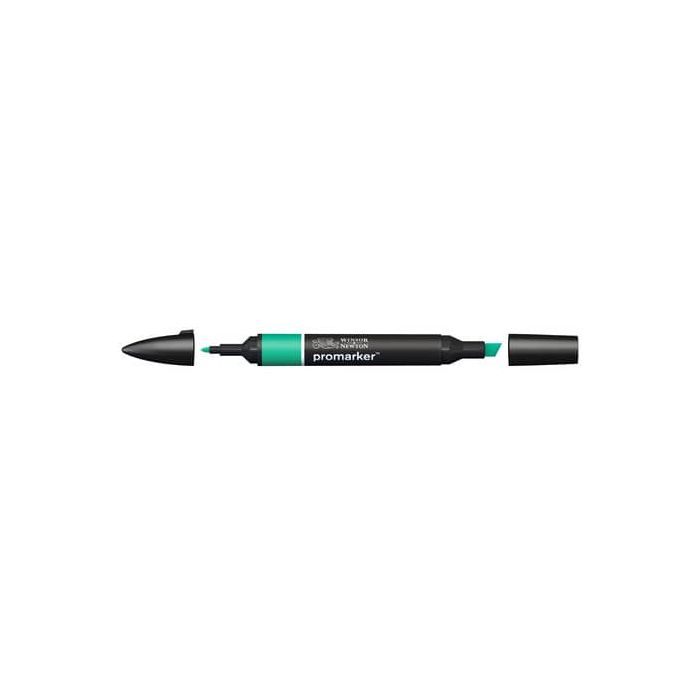 Pennarelli doppia punta Winsor&Newton green - 0203289 main product photo
