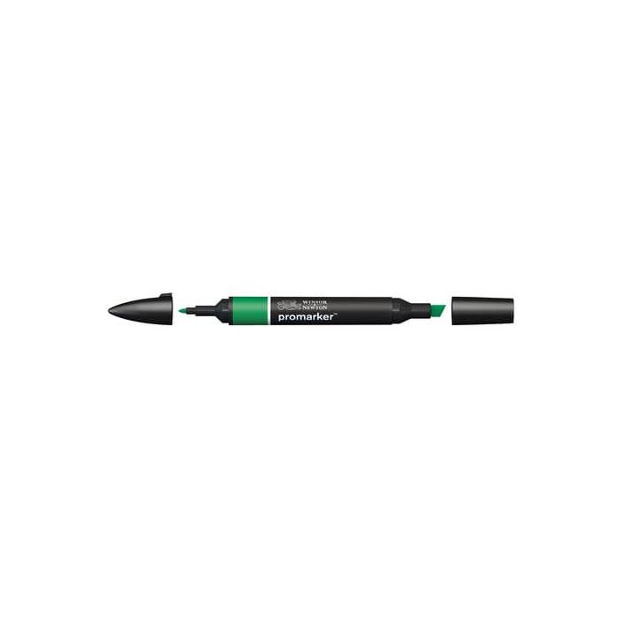 Pennarelli doppia punta Winsor&Newton lush green - 0203228 main product photo