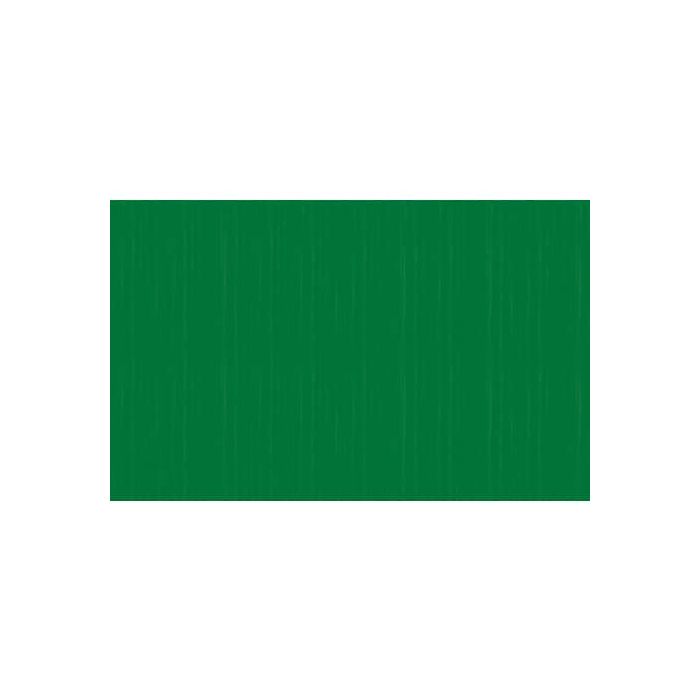 Carta crespa colorata Rex-Sadoch in rotolo 50x150 cm verde primario KR363-470 main product photo