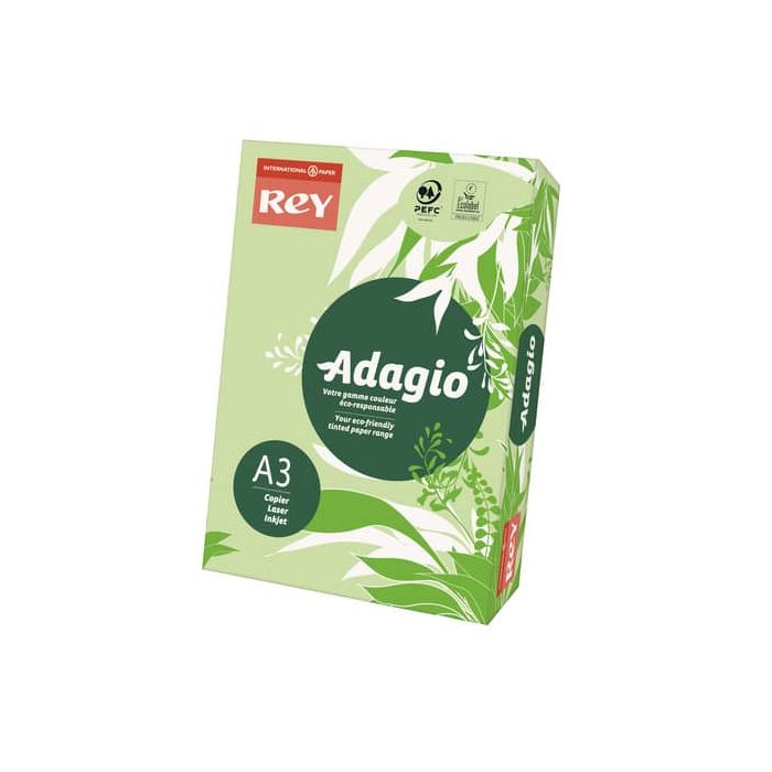 Carta colorata A3 International Paper Rey Adagio 160 g/m² verde 81 - Risma da 250 fogli - ADAGI160X487 main product photo