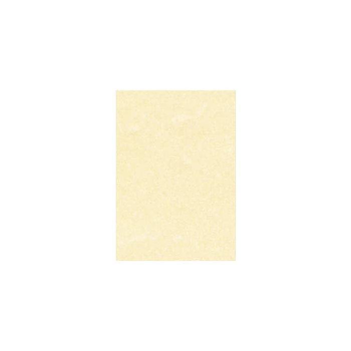 Carta pergamenata Decadry Linea Corporate A3 champagne 165 g/m² Conf. 25 fogli - T105027 main product photo