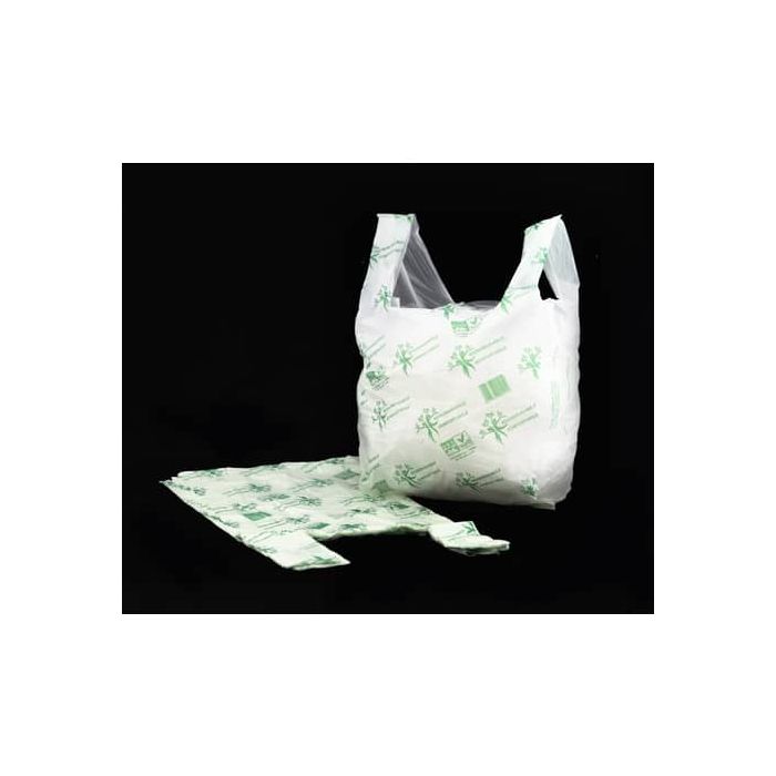 Shopper NESSUNO in mater-bi biodegradabile verde 30+10+10x60 cm cartone da 500 pz. - 21382 main product photo
