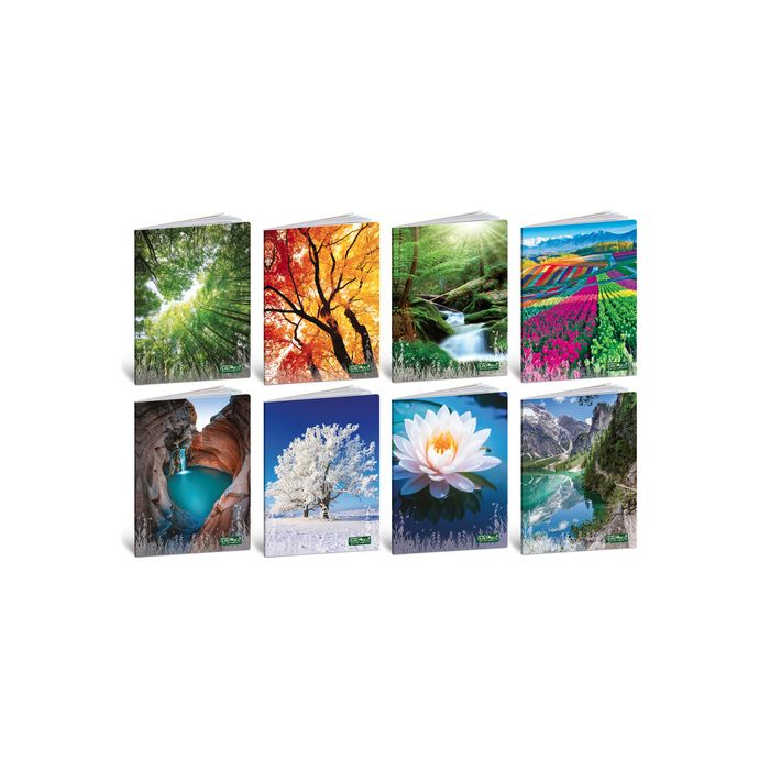 Maxi quaderno Blasetti Quadeco' formato A4 carta 80 g conf. 10 pezzi rigatura C - 4773 main product photo