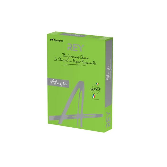 Carta colorata A4 International Paper Rey Adagio 160 g/m² verde intenso 52 - Risma da 250 fogli - ADAGI160X457 main product photo