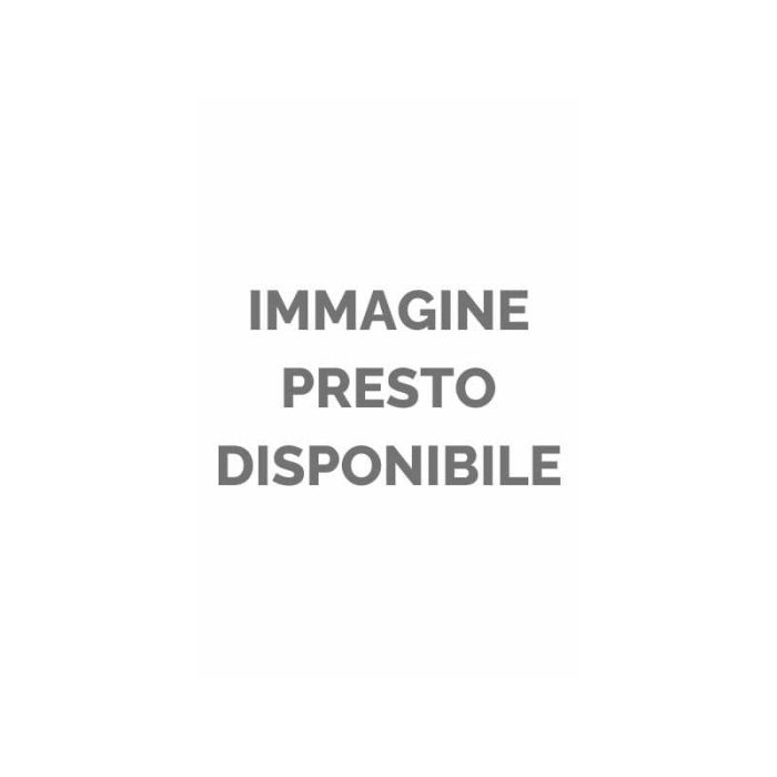 Carta colorata Copy Tinta 200 g Fabriano A4 - colori forti - 69121297 main product photo
