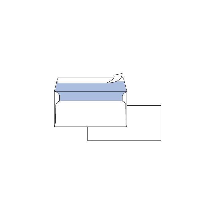 PIGNA CF50 BUSTE EDERA S/FIN 11X23CM main product photo