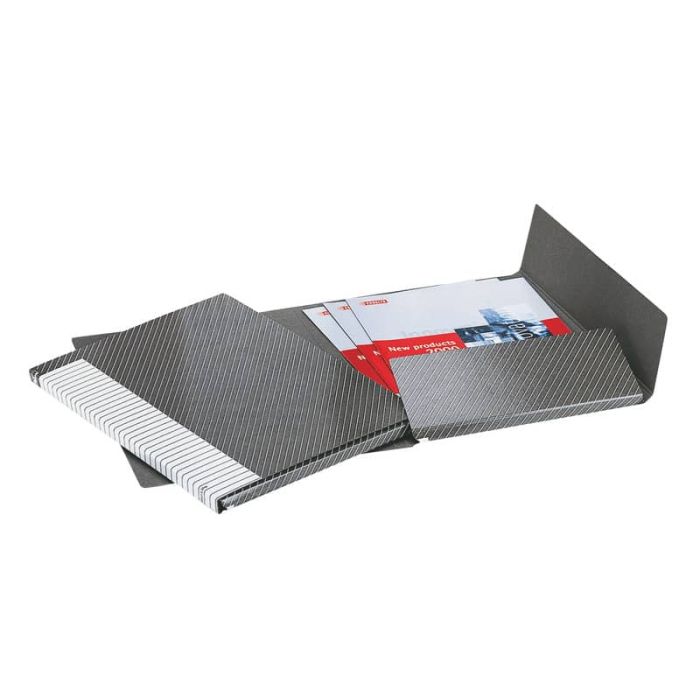 Cartelle a 2 lembi Esselte I54 DELSO LINE 6/I50 bianco/grigio 25x32 cm dorso 1,5 cm 6 cartelle - 390954040 main product photo