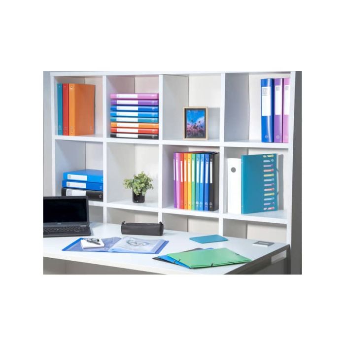 Portalistini Exacompta LINEA OPACO 8 colori assortiti ppl A4 30 buste 8530E main product photo