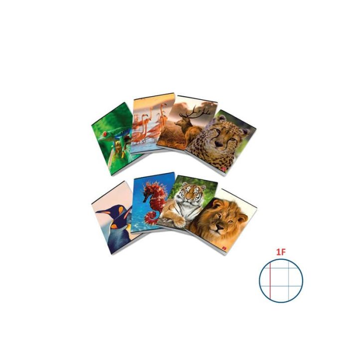 Quaderno 42 fogli PIGNA Animal A4 a quadretti 1F con margine assortiti 02307651F main product photo