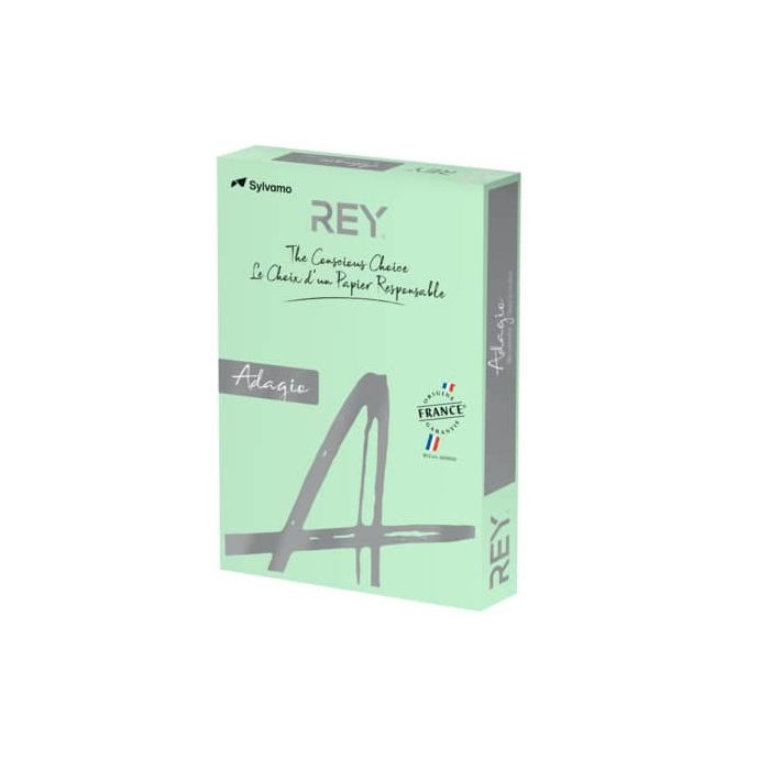 Carta colorata A4 International Paper Rey Adagio 160 g/m² verde - Risma da 250 fogli - ADAGI160X456 main product photo