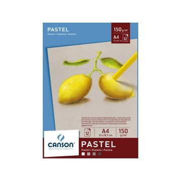 Blocco collato lato corto CANSON Dessin Couleur bianco, nero, grigio chiaro 150 g/m² 12 fogli A4 - C400041762