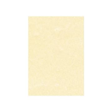 Carta pergamenata Decadry Linea Corporate A4 champagne 95 g/m² Conf. 100 fogli - T105001