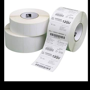 Zebra Etichetta Carta Term. 102X152Mm