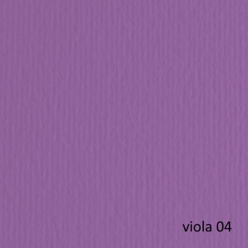 Cartoncino colorato Fabriano Elle Erre 50x70 cm 220 g conf. 20 fogli - viola - 42450704