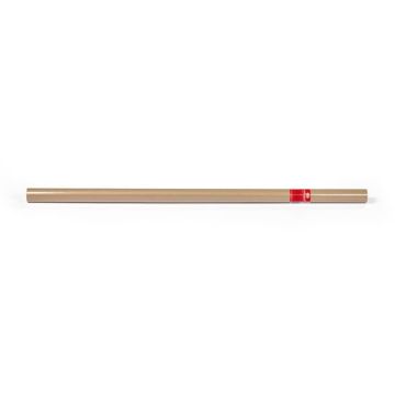 Rotolo carta da regalo Rex-Sadoch Kraft 100x500 cm avana CKRA5-AVN