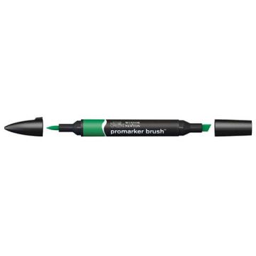 Pennarelli doppia punta Winsor&Newton brush lush green - 0204228