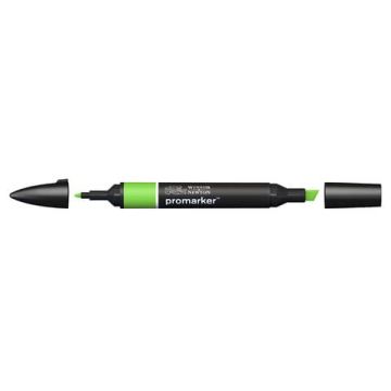 Pennarelli doppia punta Winsor&Newton bright green - 0203069