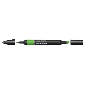 Pennarelli doppia punta Winsor&Newton forest green - 0203068