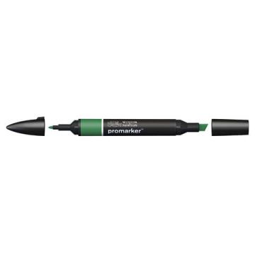 Pennarelli doppia punta Winsor&Newton verde pino - 0203244