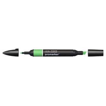 Pennarelli doppia punta Winsor&Newton grass - 0203253