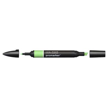 Pennarelli doppia punta Winsor&Newton apple - 0203210