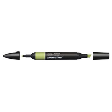 Pennarelli doppia punta Winsor&Newton marsh green - 0203281