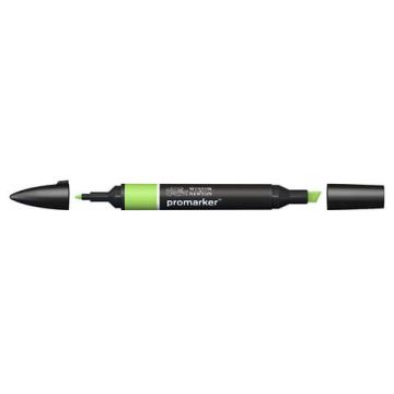 Pennarelli doppia punta Winsor&Newton leaf green - 0203341