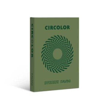 Carta colorata Favini Circolor 100% riciclata 160 g/m² A4 - risma da 250 fogli verde rosmarino - A74D324