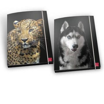 Cartella a 3 lembi con elastico Pigna Animal - A4 30x22x5 cm fantasie assortite - 0232082